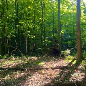 Meet your Posher, Valdes